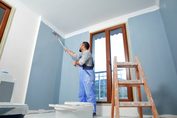 Best Eco-Friendly and Low-VOC Painting  in Elk Mound, WI